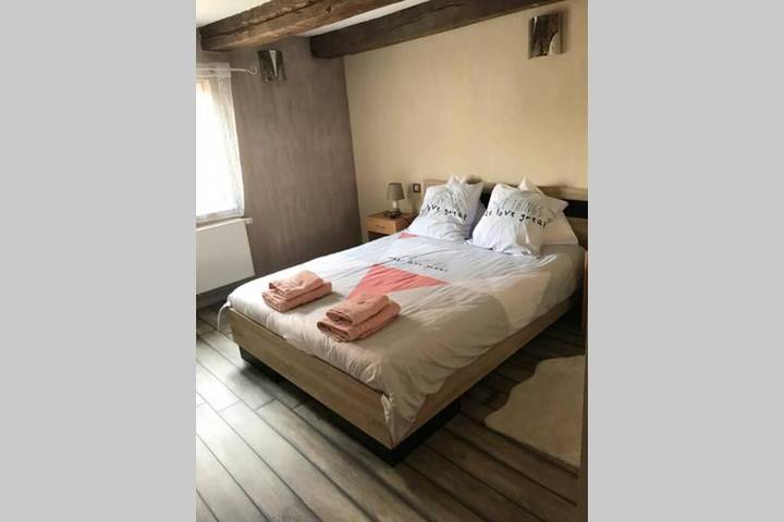 Gîte pour 9 personnes, avec jardin à Lembach - 4