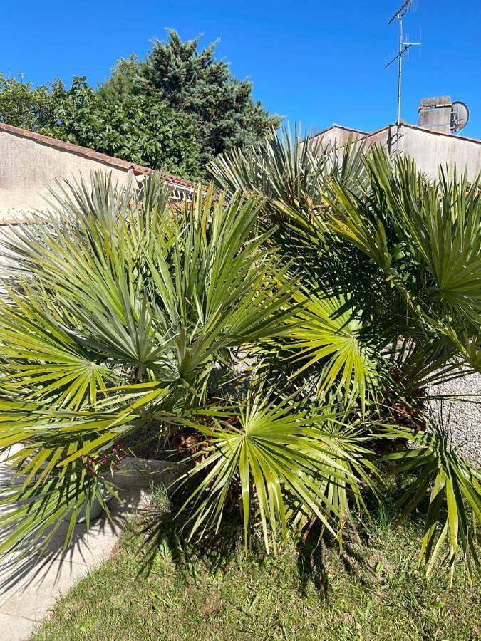 Double Room with Garden View in L'Aiguillon-sur-Mer, Fontenay-le-Comte
