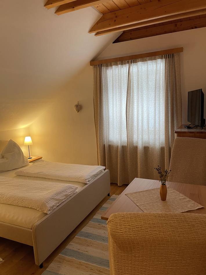 Ganze Ferienwohnung, Studio, Dusche, Wc, Wohn-/Schlafraum in Bad Kleinkirchheim, Nockberge