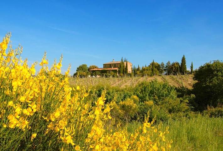 Gîte pour 3 personnes, avec vue ainsi que jardin et piscine, animaux acceptés à Montepulciano - 3