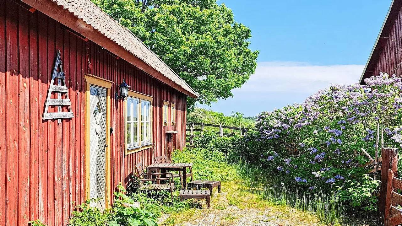 Ferienhaus für 8 Personen (120 m²) in Gotlands Tofta in Gotlandia