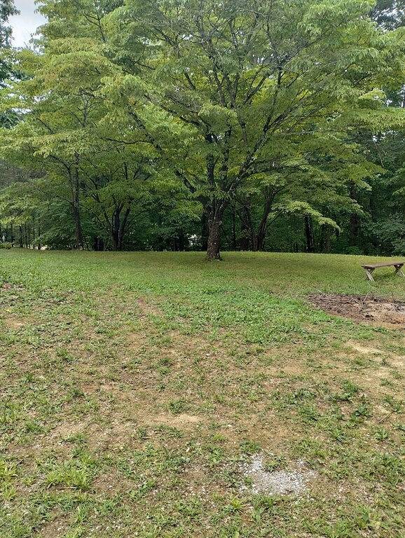 Large private campsite within minutes of Lake Cumberland! in Lake Cumberland