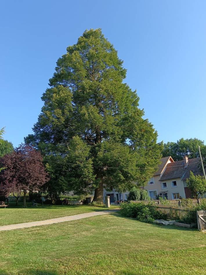 Gîte pour 4 personnes, avec jardin et terrasse dans Hautes-Alpe - 2