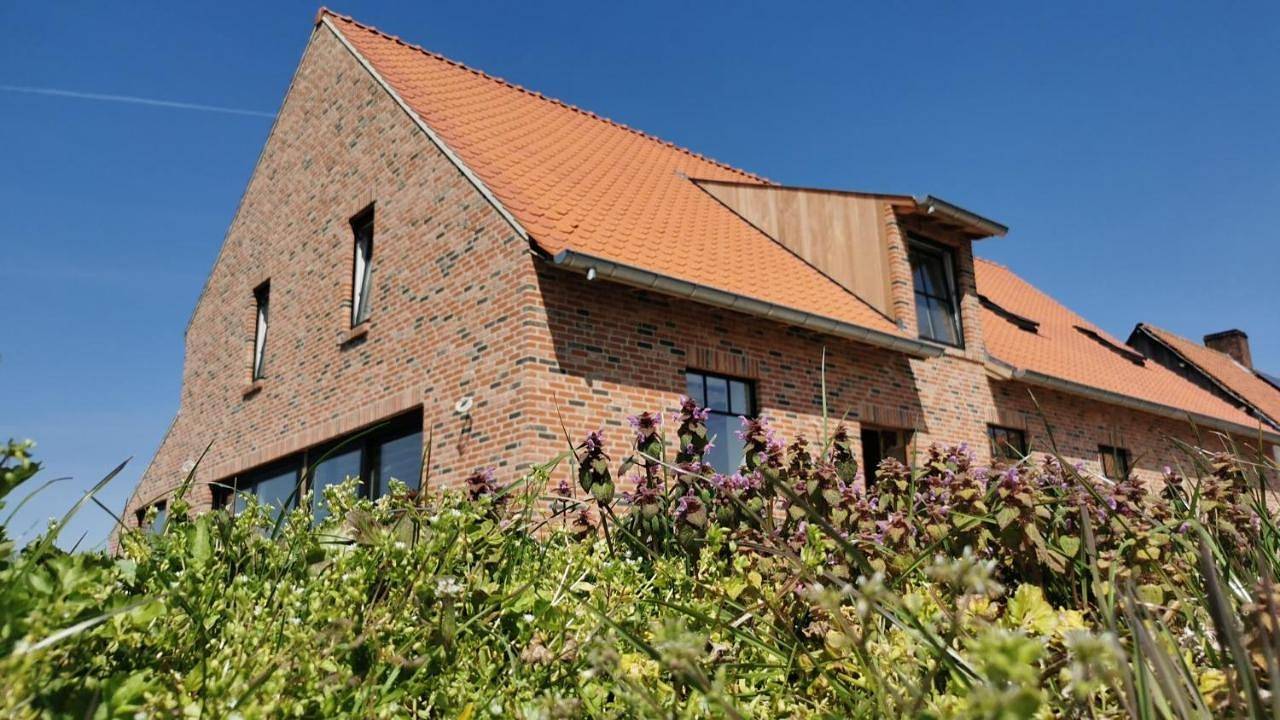 Eight-Bedroom House in Poperinge, Westflandern