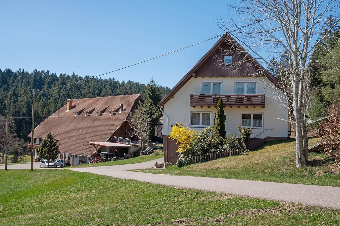 Ganze Wohnung, Ferienwohnung 'Gartenblick' mit Bergblick, privater Terrasse und Wi-Fi in Schramberg, Mittlerer Schwarzwald