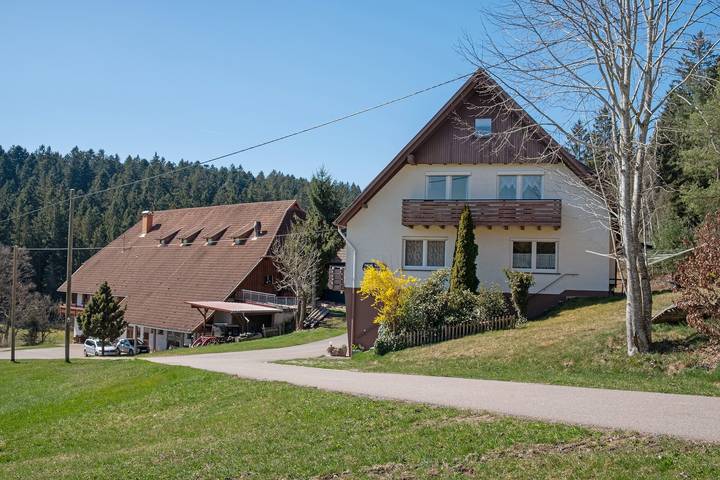 Ganze Wohnung, Ferienwohnung 'Gartenblick' mit Bergblick, privater Terrasse und Wi-Fi in Schramberg, Mittlerer Schwarzwald