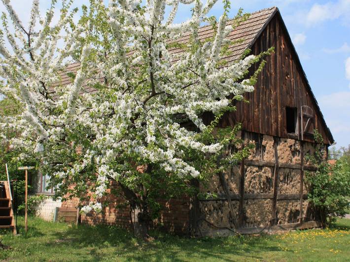 Ganze Ferienwohnung, Ferienhof Löschebrand - Suite zum Anger in Bad Saarow, Dahme-Seengebiet
