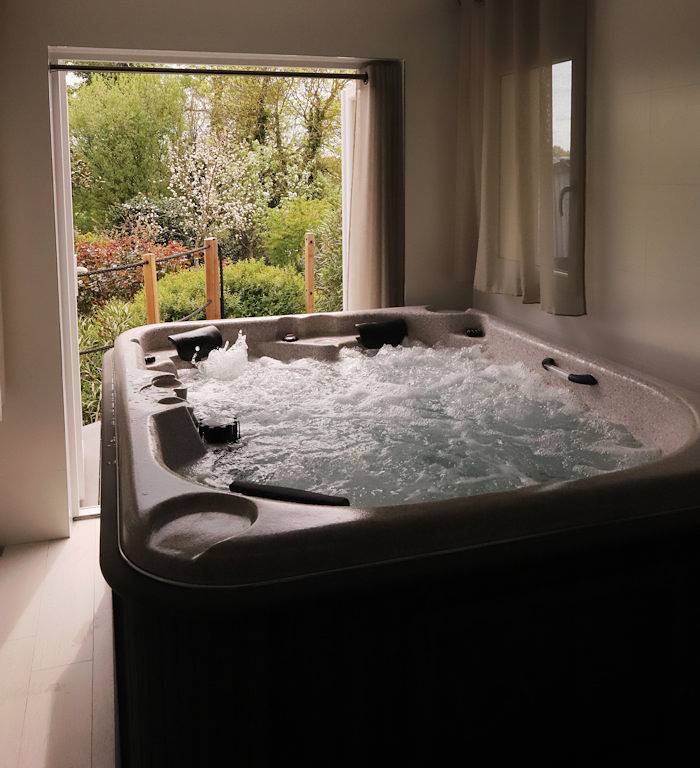 Chambre d’hôte pour 2 personnes, avec piscine ainsi que jardin et jacuzzi en Vendée - 4