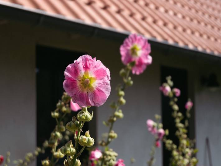 Ferienwohnung für 2 Personen, mit Garten und Terrasse in Quilitz