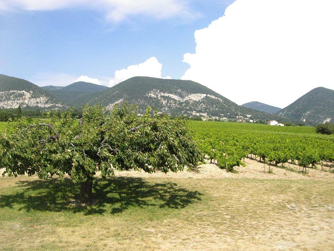 Les Espignets in Venterol, Región de Nyons