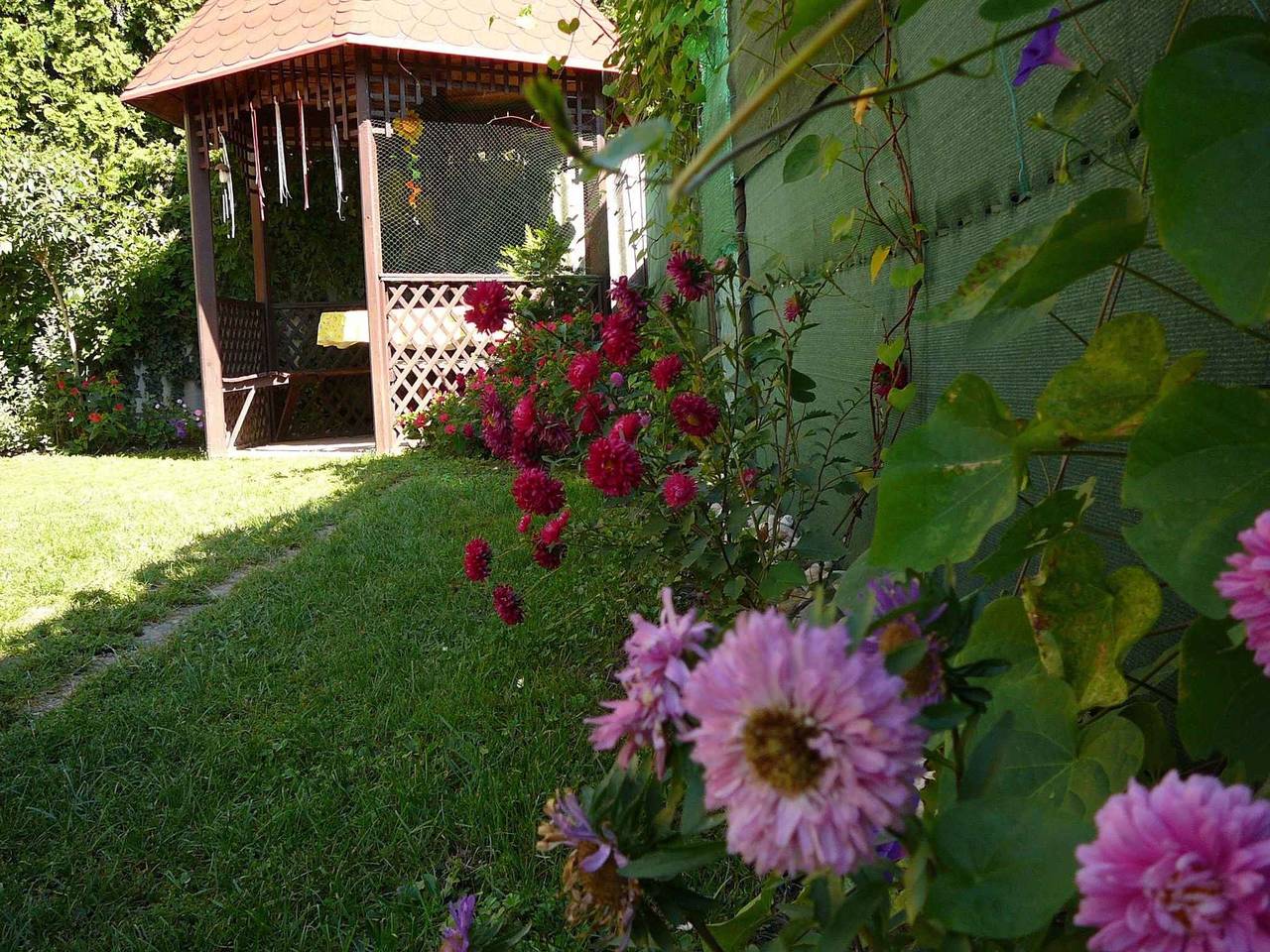 Ganze Ferienwohnung, Ferienwohnung mit Wlan in ruhiger Lage  in Heviz, Balaton Region