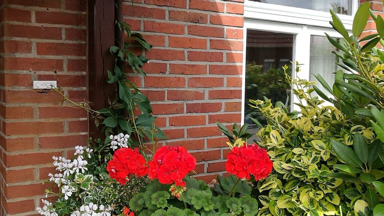 Ganze Ferienwohnung, Ferienwohnung für 4 Personen (94 m²) in Krummhörn Pewsum in Pewsum, Krummhörn