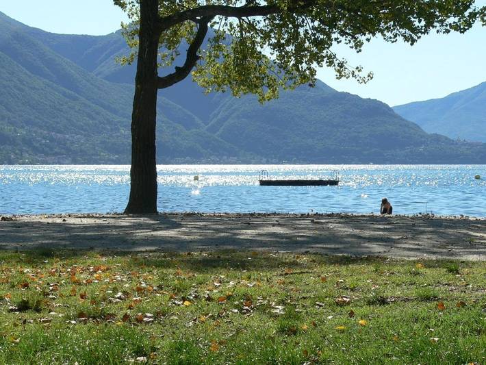 B&B für 5 Personen, mit Garten, mit Haustier in der Schweiz