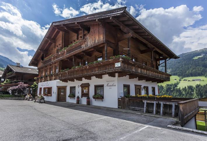 Gîte pour 4 personnes, avec jardin et vue, animaux acceptés à Alpbach - 3
