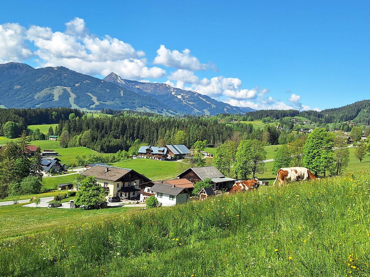 Hochwurzen 1 Schlafraum/Dusche, Wc 36m² in Ramsau am Dachstein, Schladming-Dachstein
