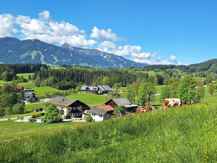 Bauernhaus für 4 Personen, mit Pool und Ausblick sowie Terrasse und Garten, mit Haustier in Ramsau am Dachstein - 3