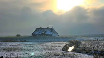 Ferienwohnung für 3 Personen in Langeneß, Nordseeküste, Bild 3