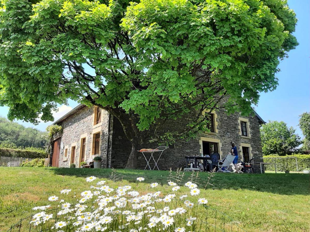 Four-Bedroom House in Laforêt, Vresse-sur-Semois