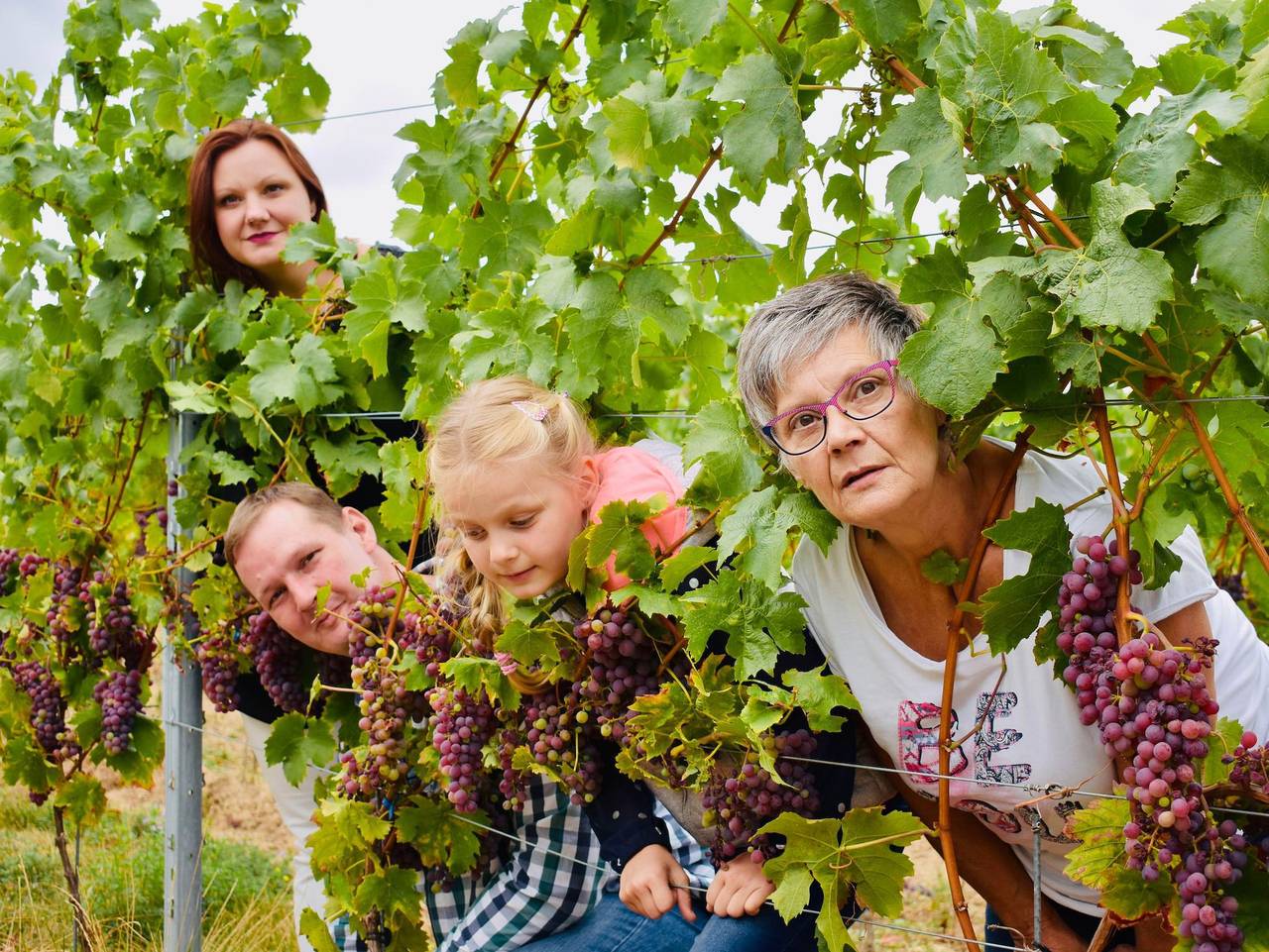 Ganze Ferienwohnung, Ferienwohnung Weingut Kurt Bug - Ferienwohnung Peter-Josef 2 Erw., 1 Kind < 4 Jahre in Oestrich-Winkel, Rheingau-Taunus-Kreis