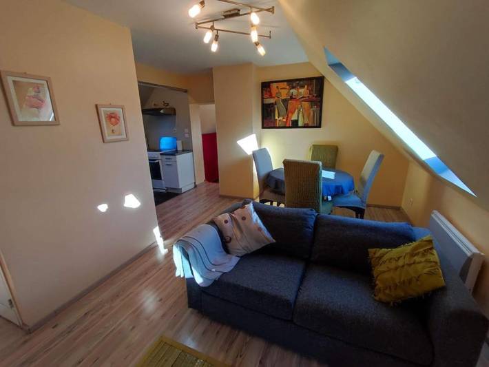 Location de vacances pour 10 personnes, avec jardin et terrasse, animaux acceptés à Donges - 3