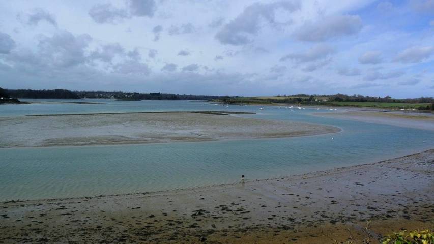Chambre d’hôte pour 2 personnes, avec jardin et terrasse à Saint-Jouan-des-Guérets - 3