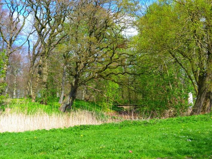 Ferienwohnung für 5 Personen, mit Garten an der Westküste Dänemarks - 2