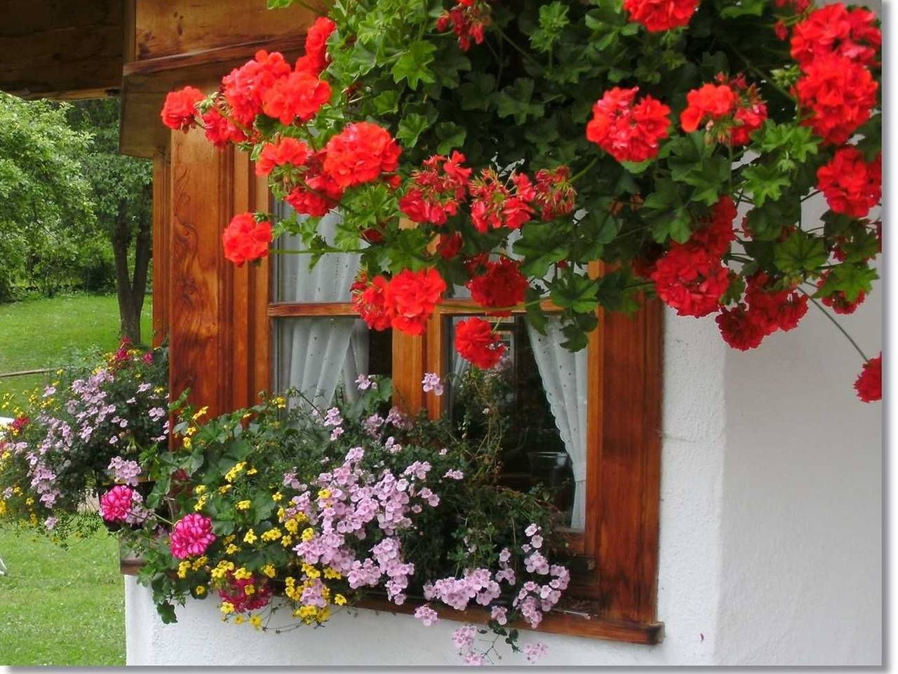 Ganze Ferienwohnung, Haus Wendelstein  Familie Alt in Fischbachau, Alpenland Tegernsee Schliersee