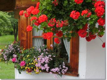 Ferienwohnung für 4 Personen in Fischbachau, Oberbayern, Bild 4