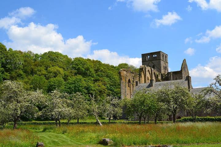 Gîte pour 5 personnes, avec jardin et terrasse à Sourdeval-les-Bois - 3