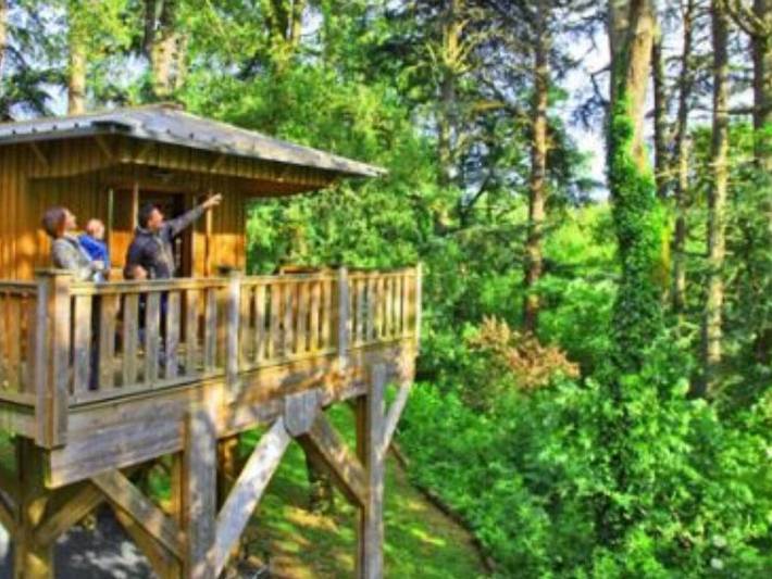 Camping pour 4 personnes, avec terrasse et piscine dans le Tarn