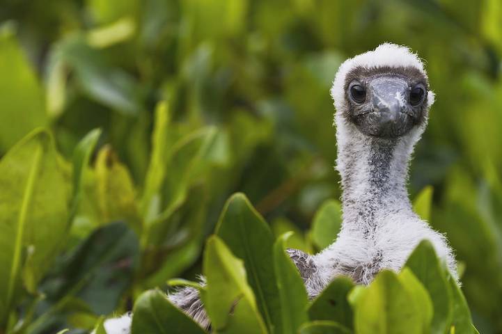 Location de vacances pour 6 personnes à Le Pontet - 4