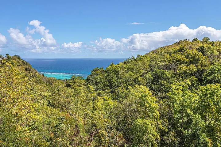 Location de vacances pour 6 personnes, avec vue ainsi que jardin et piscine dans Marie-Galante - 3