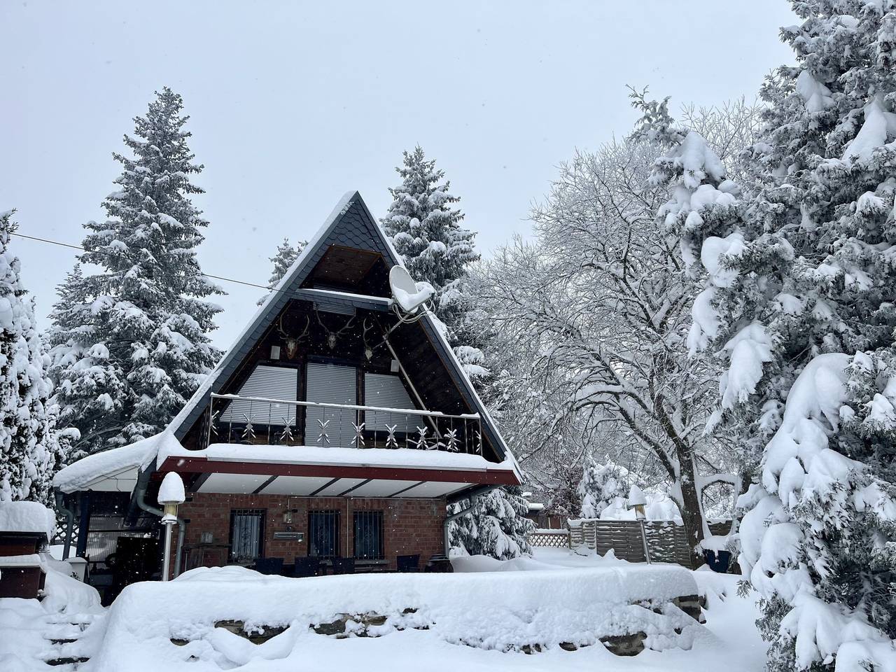 Alwin in Goldlauter - Heidersbach, Suhl