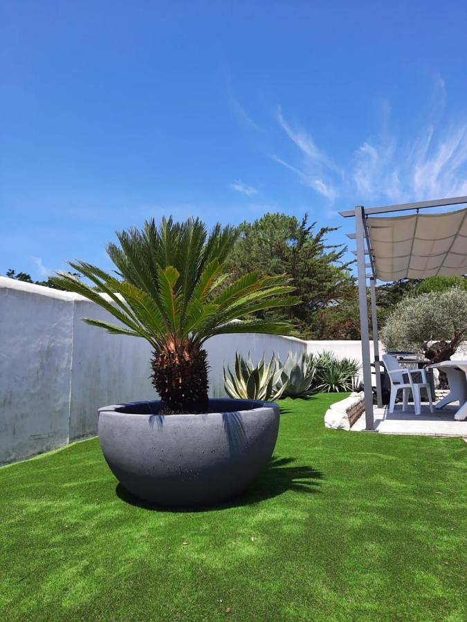 Location de vacances pour 8 personnes, avec jardin et vue dans Plage Du Gros Jonc Le Bois Plage En Re