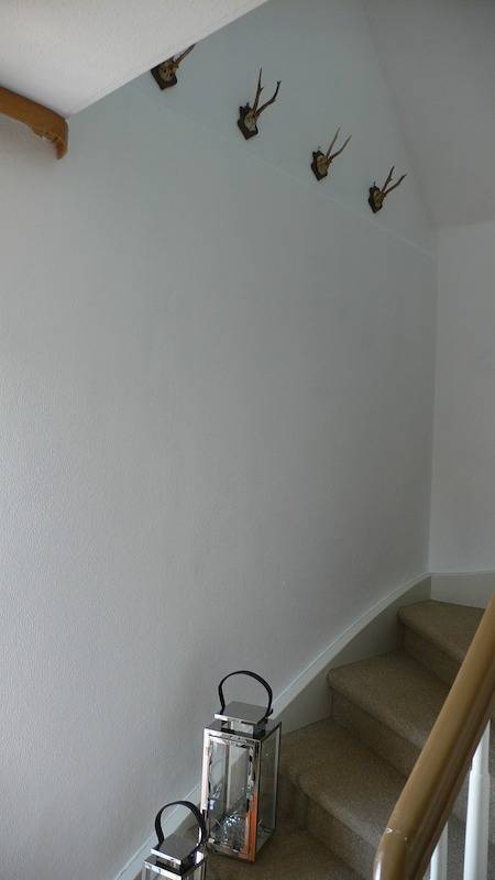 Ganze Wohnung, 3 Sterne Ferienwohnungen Wachter - Ferienwohnung 2 (50qm) mit Balkon in Ochsenkopf, Bischofsgrün