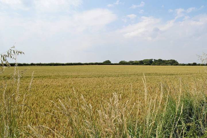 Bungalow for 5 people, with garden, with pets in Lincolnshire