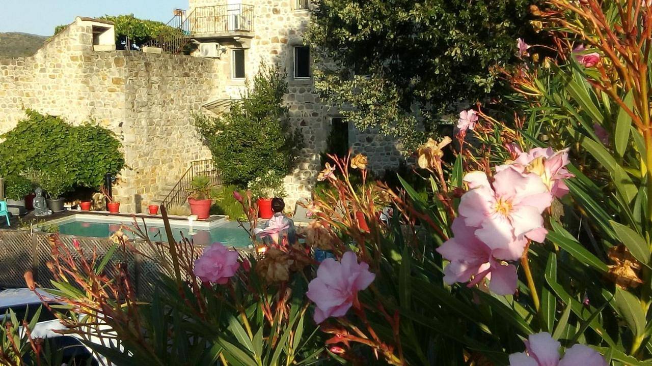 Gîtes Mas de la Musardière in Les Assions, Parc national des Cévennes