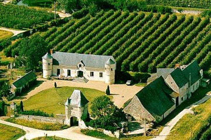 Gîte pour 6 personnes, avec jardin à Varennes-sur-Loire - 3