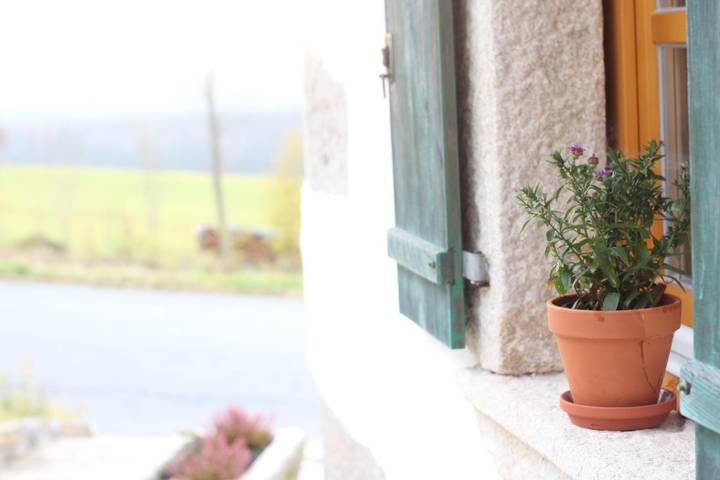 Ferienhaus für 2 Personen, mit Balkon und Balkon/Terrasse sowie Terrasse und Garten in Landkreis Freyung-Grafenau - 3