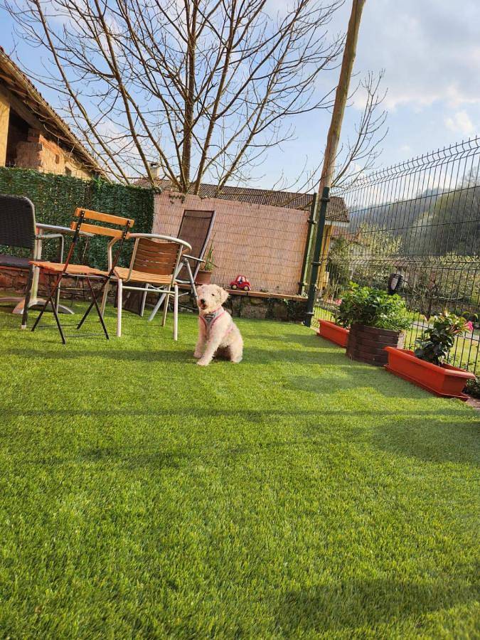 Casa rural para 5 personas, con vistas y jardín en Soto de Cangas - 3