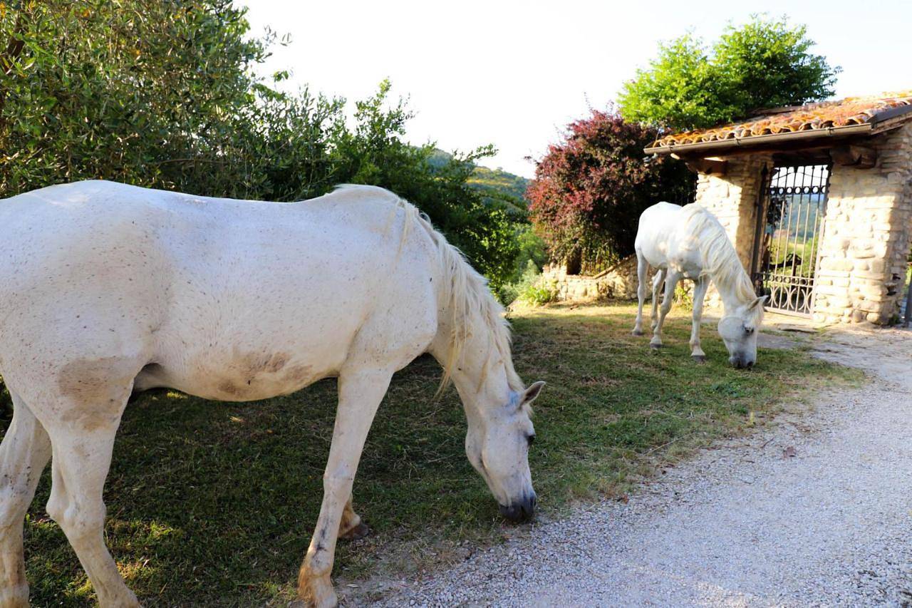 Agriturismo la Tana in Città di Castello (Italia), Valtiberina
