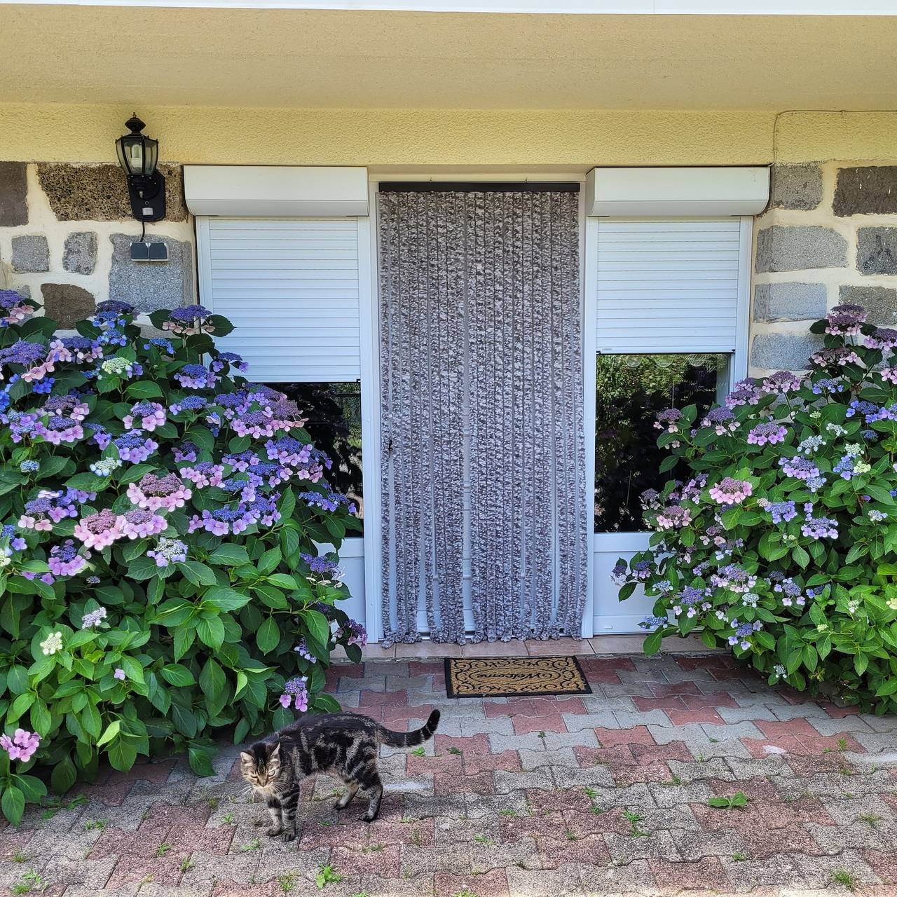 Gîte « Gîte Du Vignal » avec jardin privé et Wi-Fi in Mazeyrat-d'Allier, Haute-Loire
