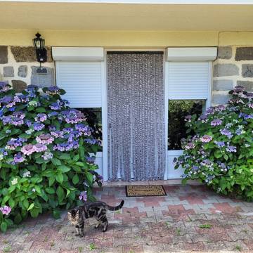 Cottage voor 4 Personen in Mazeyrat-d'Allier, Haute-Loire, Afbeelding 4