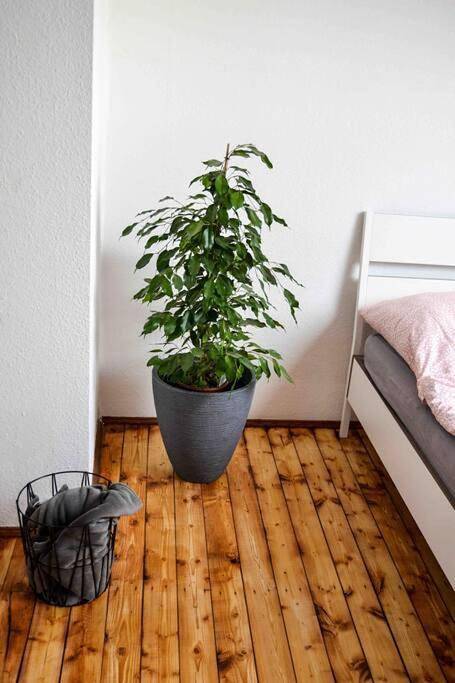 Ganze Wohnung, Two-Bedroom Apartment in Hürth, Rhein-Erft-Kreis