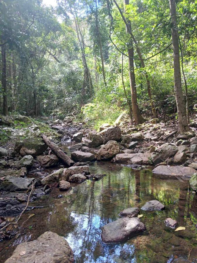 Location de vacances pour 11 personnes, avec vue ainsi que jardin et terrasse à Païta - 2