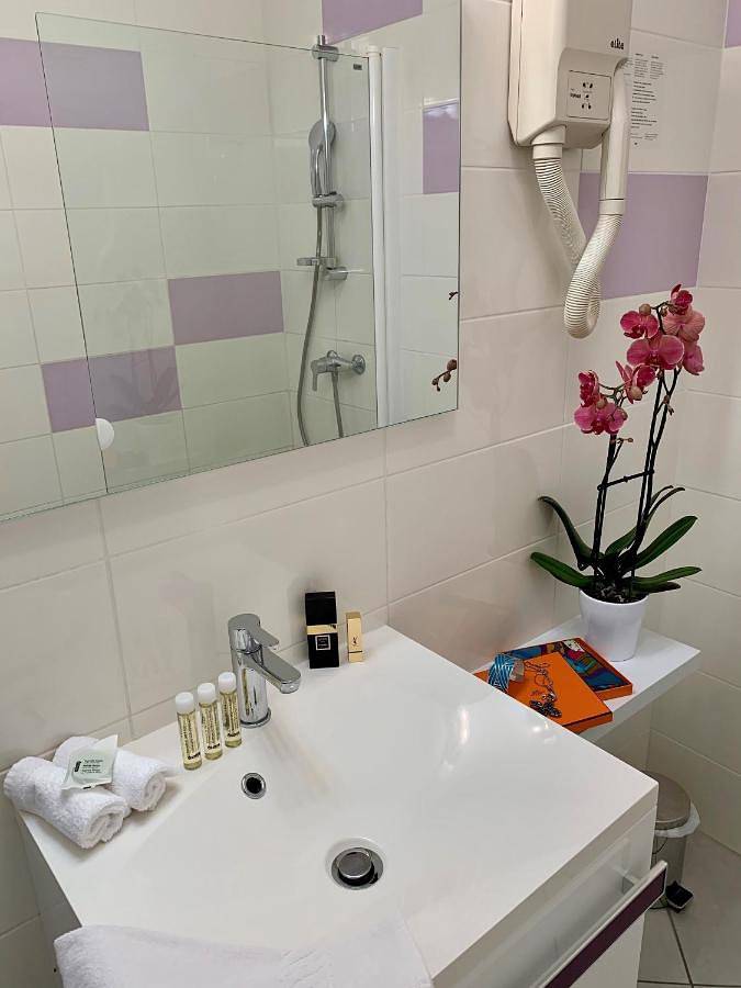 Hôtel pour 2 personnes, avec vue, animaux acceptés à Saint-Lattier - 3