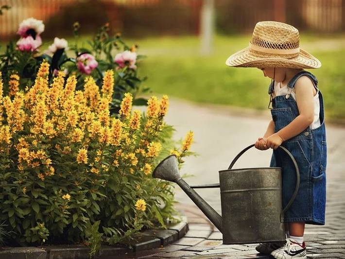 Gîte pour 4 personnes, avec jardin à Markdorf - 2