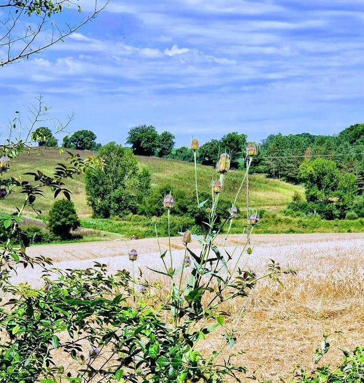 Tente pour 5 personnes, avec piscine ainsi que jardin et jacuzzi, animaux acceptés dans le Gers - 3