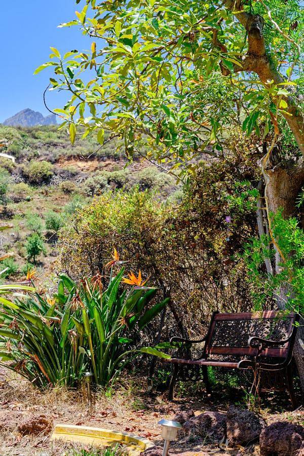 Double Room in Arafo region, Tenerife Sur
