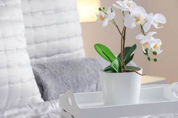 Cottage for 2 People in Hornsea, East Riding of Yorkshire, Photo 1